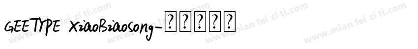 GEETYPE XiaoBiaoSong字体转换